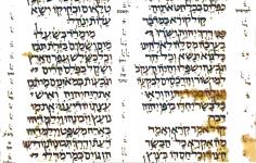 Thumbnail of Codex_Aleppo_238_decolored_05052022.jpg